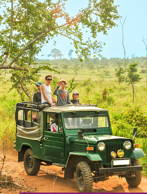 Best of Adventure & Wildlife Tour